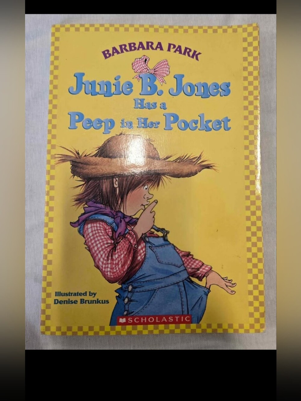 Junie B. Jones Book